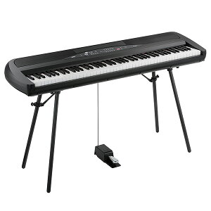 Korg(RO) / SP-280-BK - fW^sAm -nEB[Z[/nEBObY