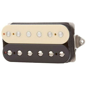 SUHR ( �T�[ ) / SSH+ Bridge Zebra 50mm�ċx�X�y�V����