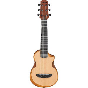 Ibanez(ACoj[Y) / AUP10N-OPN / ENTCY~jM^[ y2025N715zċx݃Z[