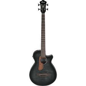 Ibanez(ACoj[Y) / AEGB25E-TKH GARx[X [SPOTf]ċx݃Z[