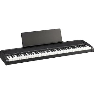 Korg(RO) / B2+ BLACK - dqsAm 88 - y2025N622zċx݃Z[