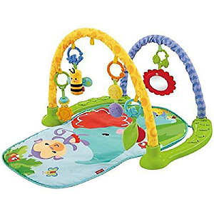 Fisher-Price Link 'n Play Musical Gym (tBbV[vCX NvC ~[WJW)ċxXyV
