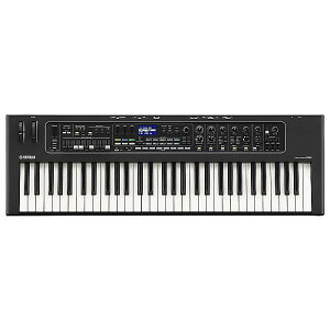 YAMAHA(}n) / CK61 Xe[WL[{[h: fW^VZTCU[̓ Z[