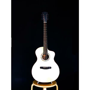 DOWINA(hEBi) / AMBRD-GAC-SWS Swiss Moon Spruce top gAmber roadh Model / AR[XeBbNM^[m󒍐YinNX}X Z[