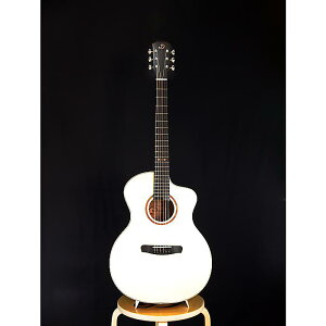 DOWINA(hEBi) / DD-GAC-SWS TIME TRAVEL Series gDayDreamh Model / AR[XeBbNM^[m󒍐YinNX}X Z[