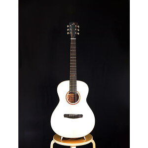 DOWINA(hEBi) / DD-GD-DS TIME TRAVEL Series gDayDreamh Model / AR[XeBbNM^[m󒍐YinNX}X Z[