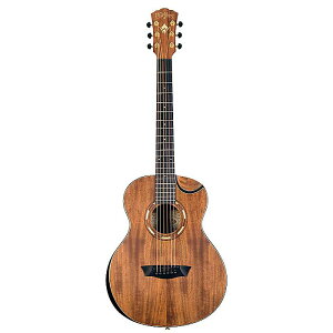 Washburn(bVo[) / G-MINI 55 KOA - AR[XeBbNM^[ -ċx݃Z[
