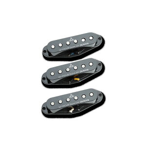 Seymour Duncan(ZCAE_J) / Zephyr Strat ZSL-1s yNeck & Middle & Bridgez - M^[x[X: sbNAbv -@y󒍕iz[ڈNȏエ Z[