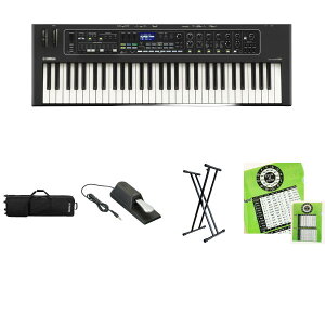 4Tt yP[XEX^hy_Zbg(NAt@Ct)zYAMAHA(}n) / CK61_SC-DE88_FC4AOp5_setċxXyV