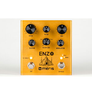 meris(X) / ENZO / }`{CXEVZTCU[y_V