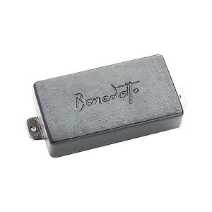 SEYMOUR DUNCAN ( ZCA_J ) / BENEDETTO B6ċxXyV