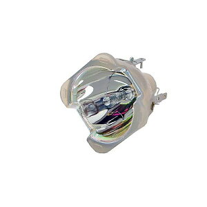 PHILIPS ( �t�B���b�v�X ) / MSD Platinum 16R�ċx�X�y�V����