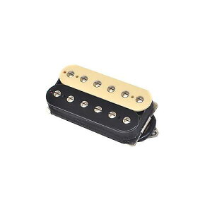 SUHR ( �T�[ ) / DSH+ ZEBRA 53mm�ċx�X�y�V����