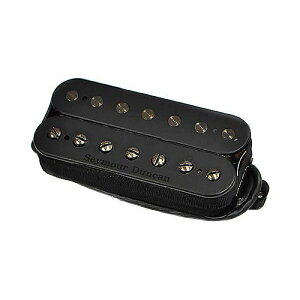 SEYMOUR DUNCAN ( ZCA_J ) / Nazgul 7 String Passive UncoveredċxXyV