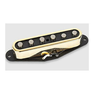 SEYMOUR DUNCAN ( ZCA_J ) / Lari Basilio Tele Middle Gold CoverċxXyV