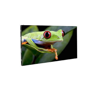 AMERICAN DJ ( �A�����J���f�B�[�W�F�C ) / WMS2�ċx�X�y�V����