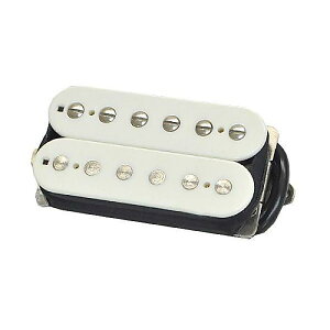 SUHR ( �T�[ ) / Doug Aldrich Neck Parchment�ċx�X�y�V����