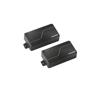 FISHMAN ( tBbV} ) / Fluence Custom Series Matt Heafy 6-String SetċxXyV