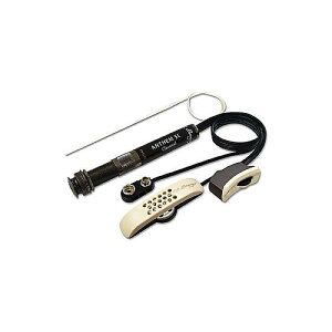 L.R.Baggs ( �G���A�[���o�b�N�X ) / Anthem SL Classical�ċx�X�y�V����