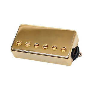 SUHR ( �T�[ ) / Asatobucker 53mm Gold�ċx�X�y�V����