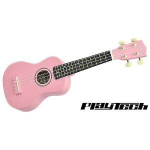 PLAYTECH ( vCebN ) / PUK100C Pink@\vmENyMOobOtzċxXyV