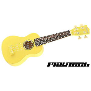 PLAYTECH ( vCebN ) / PUK100C Yellow@\vmENyMOobOtzċxXyV