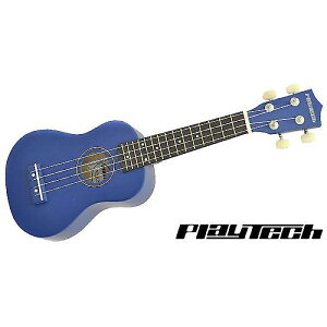 PLAYTECH ( vCebN ) / PUK100C Blue@\vmENyMOobOtzċxXyV