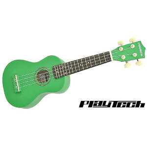 PLAYTECH ( vCebN ) / PUK100C Green@\vmENyMOobOtzċxXyV