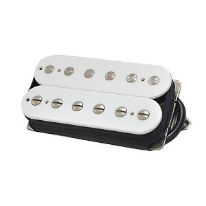 SUHR ( �T�[ ) / SSV BRIDGE WHITE 53mm�ċx�X�y�V����