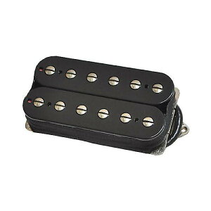 SUHR ( �T�[ ) / DSV+ Black 53mm�ċx�X�y�V����