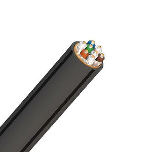 AudioQuest(I[fBINGXg) / CAT700 Carbon oNlbg[NP[u (Xv[) (O[/152m) mCAT7CARG500nċxXyV