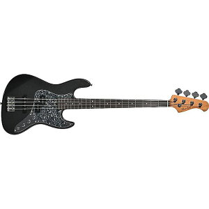 Bacchus(�o�b�J�X) / WPJ-520 RSM/R-BPPG Gun-M (Gun-Metallic) �G���L�x�[�X [�\�t�g�P�[�X�t��]�V��������