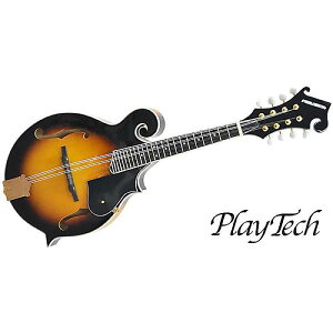 PLAYTECH ( vCebN ) / PFM10F FX^Ctbg}hċxXyV