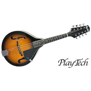 PLAYTECH ( vCebN ) / SA100 VS AX^Ctbg}hċxXyV