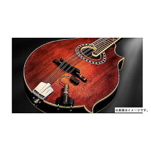 L.R.Baggs ( �G���A�[���o�b�N�X ) / Radius Mandolin Pickup�ċx�X�y�V����