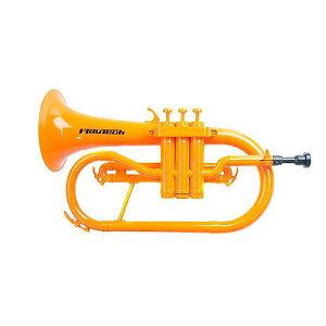 PLAYTECH ( vCebN ) / t[Qz IW PTFH100ORċxXyV