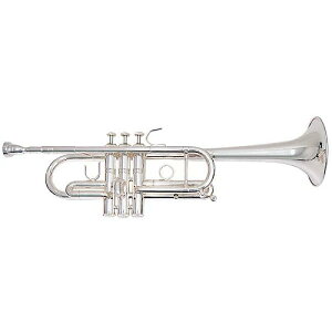 PLAYTECH ( vCebN ) / PTTR-200C gybgCǉċxXyV