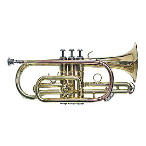 PLAYTECH ( vCebN ) / PTCR-200 Rlbg bJ[dグċxXyV