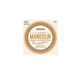 DADDARIO ( �_�_���I ) / EJ67 Mandolin Nickel Medium 11-39 �}���h�������ċx�X�y�V����