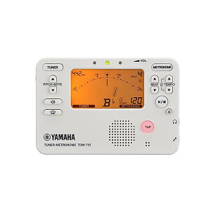 YAMAHA ( }n ) / TDM-710IV `[i[gm[ AC{[ċx݃Z[