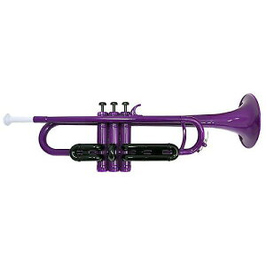 PLAYTECH ( vCebN ) / PTTR-050PR vX`bNgybg p[vċxXyV