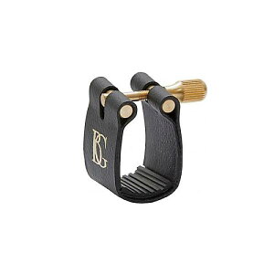 BG ( r[W[ ) / L12 AgTbNXK`[ X^_[hċx݃Z[