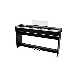 PLAYTECH(�v���C�e�b�N) / PDP400S �d�q�s�A�m �X�^���h�Z�b�g