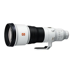 SONY(�\�j�[) / SEL600F40GM