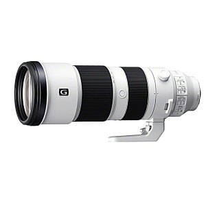 SONY(�\�j�[) / SEL200600G C