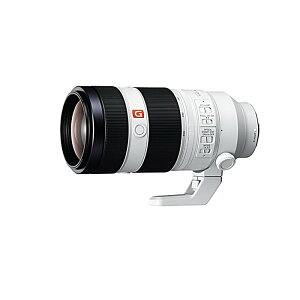 SONY(�\�j�[) / FE 100-400mm F4.5-5.6 GM OSS(SEL100400GMC)
