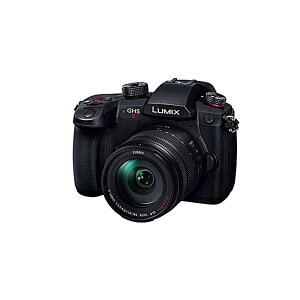 Panasonic(�p�i�\�j�b�N) / DC-GH5M2H �{�f�B�{H-FSA14140�����Y�L�b�g