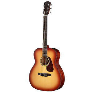 Morris([X) / F-1 BS(uEETo[Xg) ARM AR[XeBbNM^[ [MOobOt]ubNtCf[