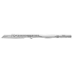 ROLAND(���[�����h) / AE-BRISA Aerophone Brisa �G�A���t�H���E�u���T