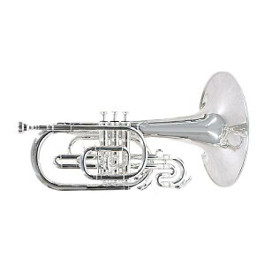 PLAYTECH ( vCebN ) / PTMP-200S }[`OtHċxXyV